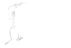museo-del-silencio-logotipo-horizontal