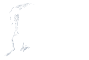 museo-del-silencio-logotipo-horizontal